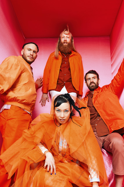 Little dragon photographed for a press photo