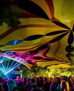 Sonic Bloom music festival