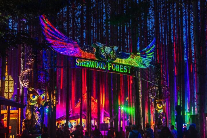 Sherwood Forest at Electric Forest Music Festival