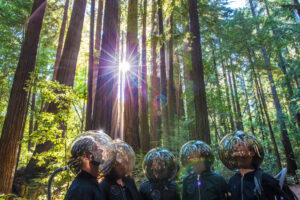 STS9 Press Photo