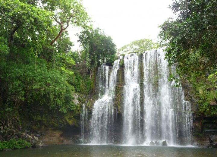 Jungle Dreaming Festival will be hosted at Ocean Park Ranch