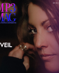 VEIL cover art for MP3 MAG