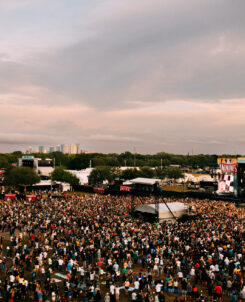 Crowd photo of Innings Festival