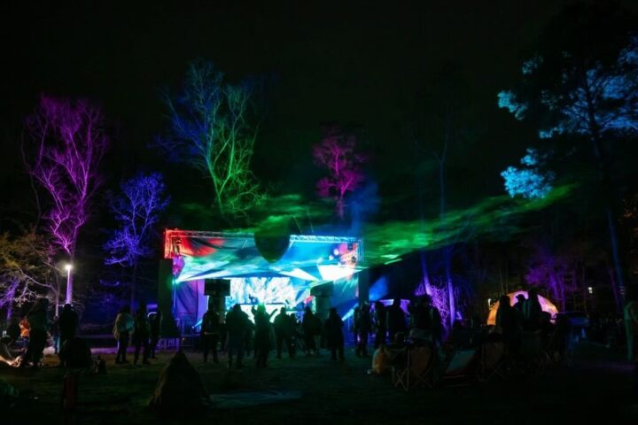 Photo of Wub N Dub Festival 2022 (Courtesy: Patrik Essy)