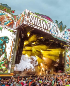 Photo of a colorful stage and full crowd in front of it at Electric Forest