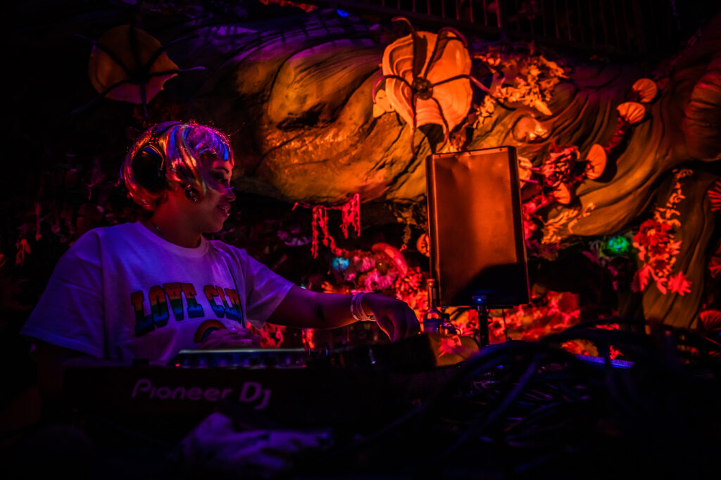 photo of a DJ performing