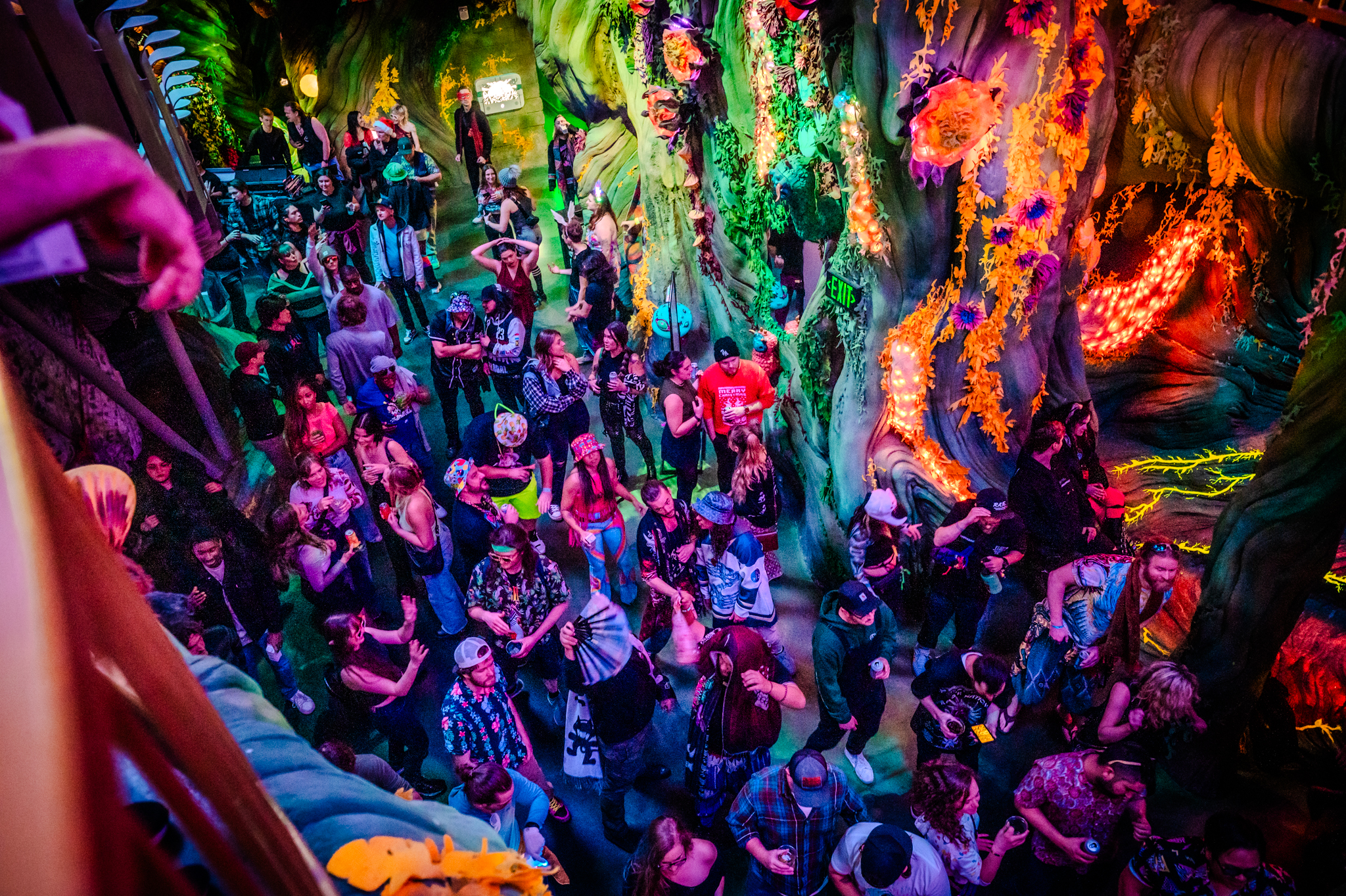 Friendship 2024 Danceportation event at Meow Wolf.