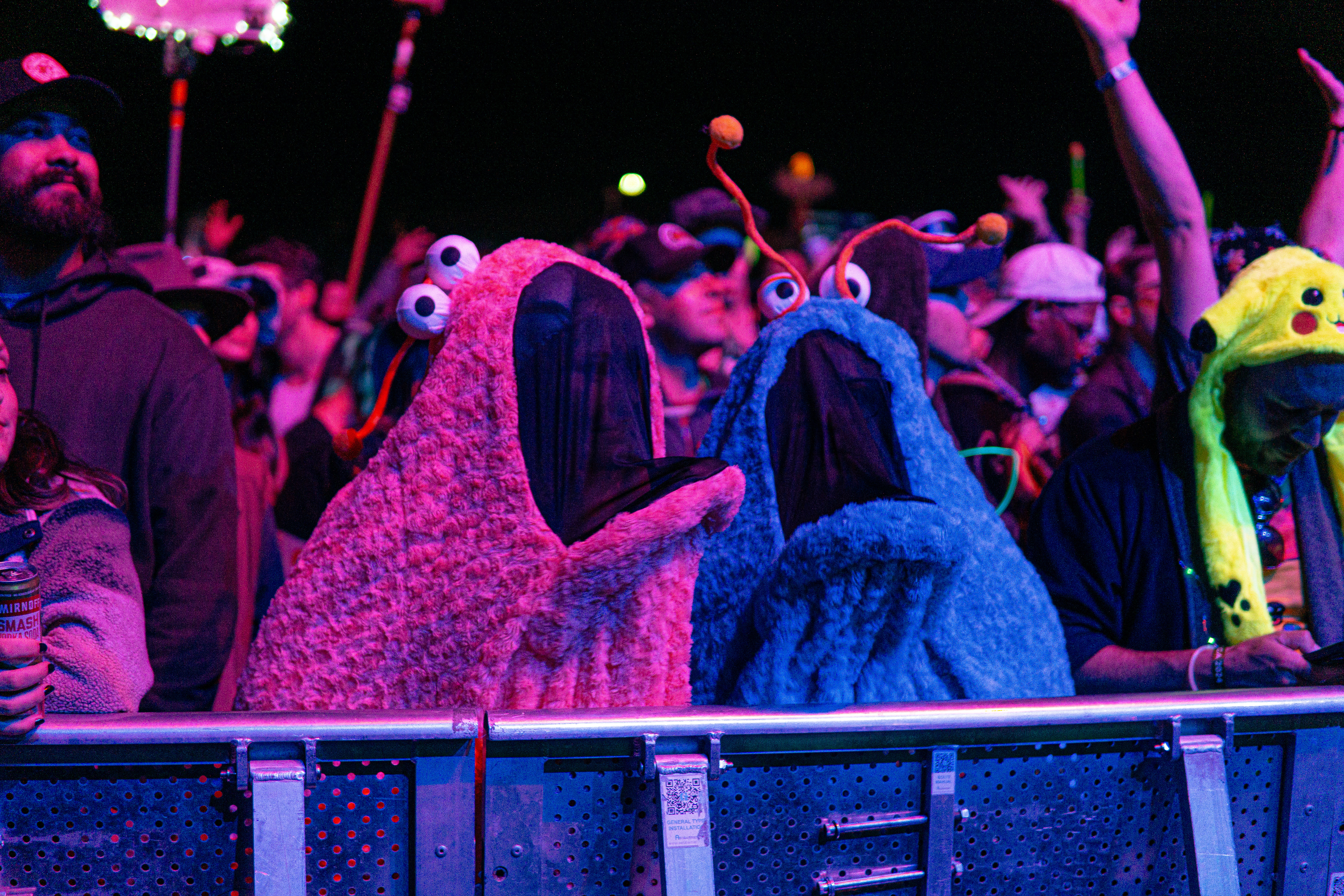 Concert goers in silly costumes at Cascade Equinox