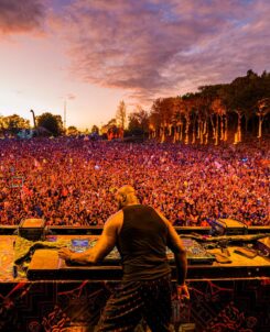 DJ Diesel on stage at Lost Lands