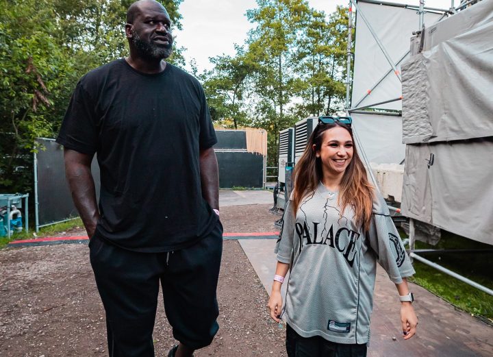 DJ DIESEL, LAYZ, MP3 SELECTS, new music, dubstep, BRING THE PAIN